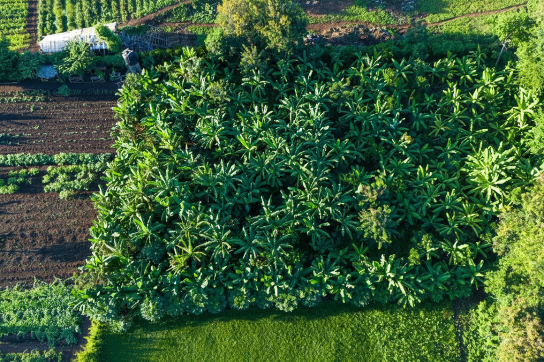 farm-aerial-CCTUEYLy